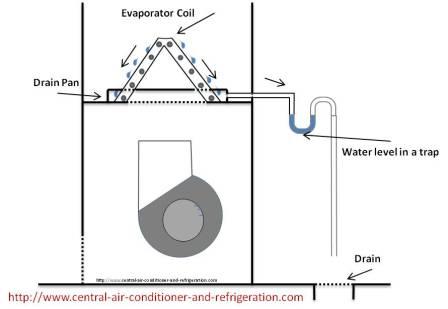 Condensate drain line 